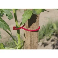 25 tomato clips rouge