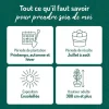 Abricotier Bergeron. Le pot de 15 litres, forme 1/2 tige