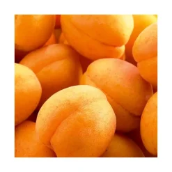 Abricotier Rustique Des Pyrenees ® Bourqui Bio. Le pot de 12 litres forme gobelet