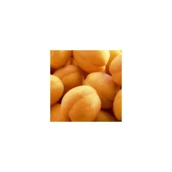 Abricotier Rustique Des Pyrenees ® Bourqui. En racine nue, forme 1/2 tige