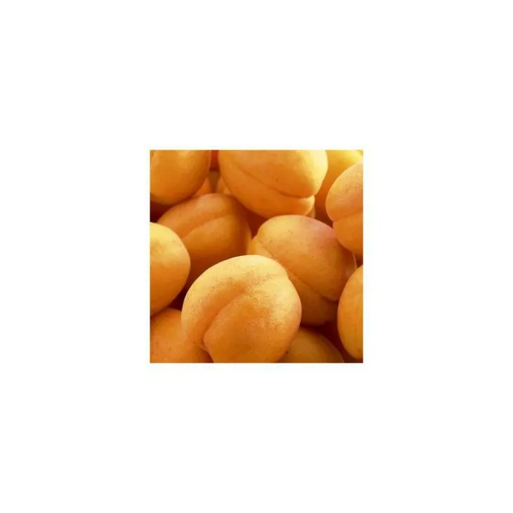 Abricotier Rustique Des Pyrenees ® Bourqui. En racine nue, forme 1/2 tige