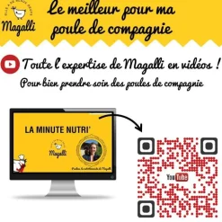 Aliment complet pour poule pondeuse en sac jaune de 8 kg