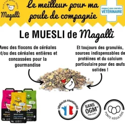 Aliment complet pour poule pondeuse en sac jaune de 8 kg