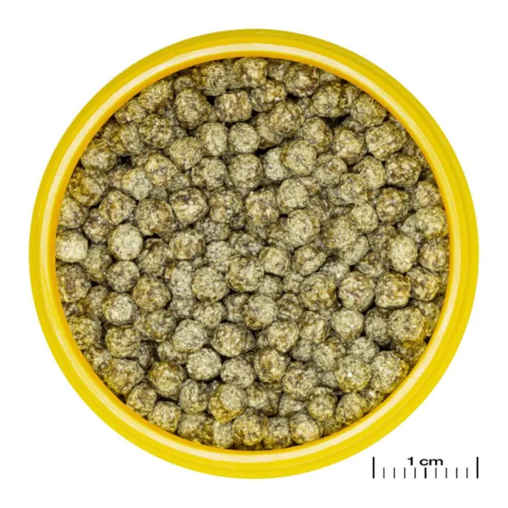 Aliment en granules pour poisons rouges JBL Pronovo red grano M – 100 ml