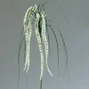 Amaranthus artificiel H70 cm