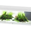 Aquarium coloris blanc Aquatlantis Prestige LED 2.0 170 L - 120 x 40 x 45 cm