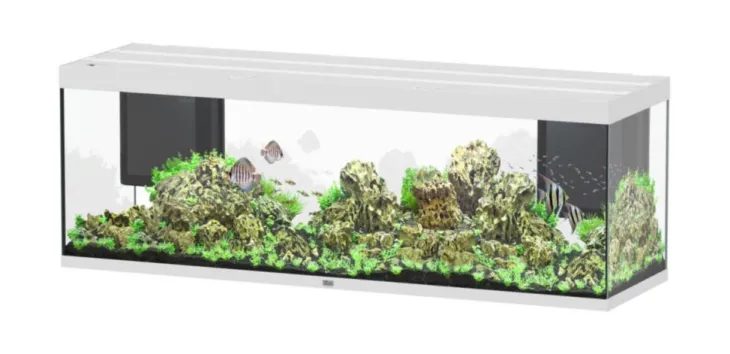 Aquarium coloris blanc Aquatlantis Sublime Ultra LED 2.0 675 L - 200 x 60 x 70 cm