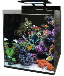 Aquarium reef 90 Blue Marine