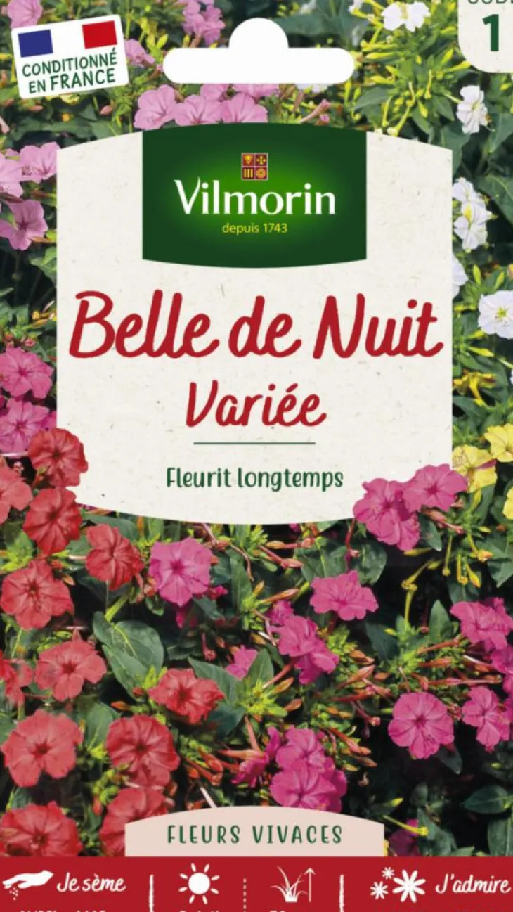 Belle-de-nuit Variée Vilmorin - graines à semer
