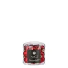 Boîte de 24 mini boules de Noël en verre rouge - Ø 2,5 cm