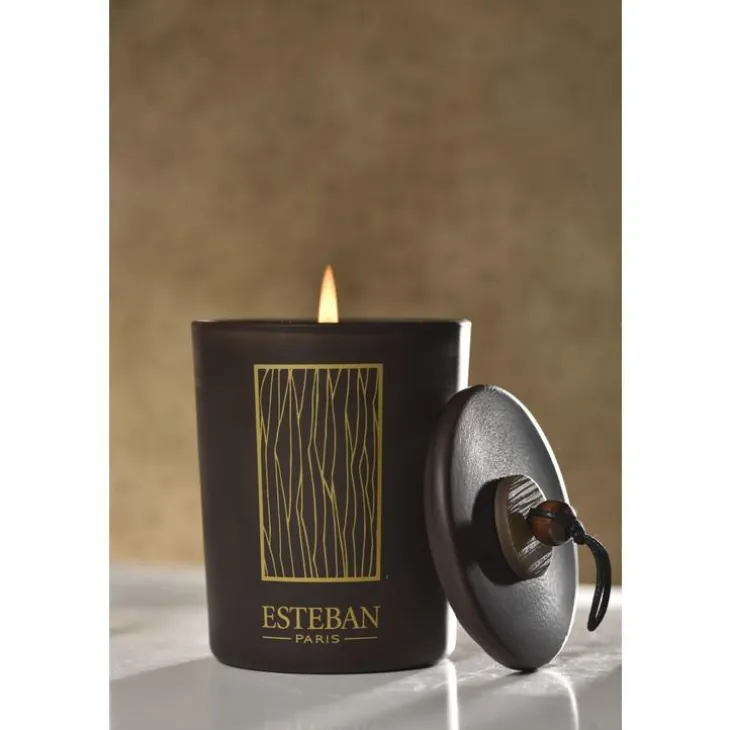 Bougie déco parfumée et rechargeable Cèdre Esteban - 180 g