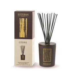 Bouquet parfumé déco et sa recharge Cèdre Esteban - 100 ml