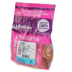 Bulbes d’échalotes longue Longor calibre 15/35, 250 g
