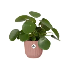 Cache pot rose poudré Elho Vibes fold - Ø 22 cm