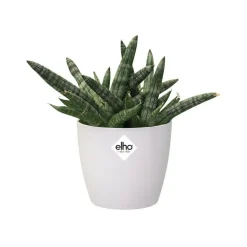 Cache-pot Brussels rond mini Ø 12,5 x H 11,4 cm Polypropylène injecté