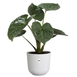 Cache-pot coloris blanc Jazz Elho - Ø 23 cm