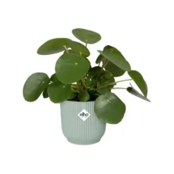 Cache-pot en plastique recyclé vert sorbet Elho Vibes fold rond mini - Ø 9 cm