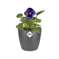 Cache-pot en polypropylène Elho Brussels rond mini anthracite - Ø 10,5 cm