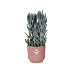Cache-pot rose poudré Elho Vibes Fold Roues - Ø 35 cm