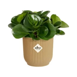 Cache-pot vibes fold Ø14 cm