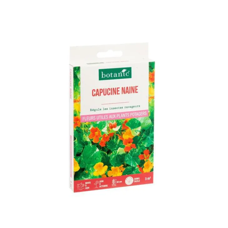 Capucine naine botanic® - graines à semer (3 m²)
