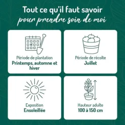 Cassissier Perles D'Auvergne ®. Le pot de 2 litres