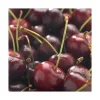Cerisier Big. De La Saint Jean ® Bio. Le pot de 15 litres