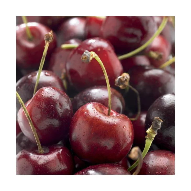 Cerisier Big. Delice De Malicorne ® Agoudel Bio. Le pot de 15 litres