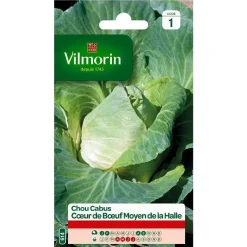 Chou Cabus Cœur de Bœuf Moyen de la Halle Vilmorin - graines à semer