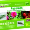 Chrysopes 100 larves