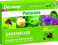 Coccinelles Adalia Bipunctata 20 adultes