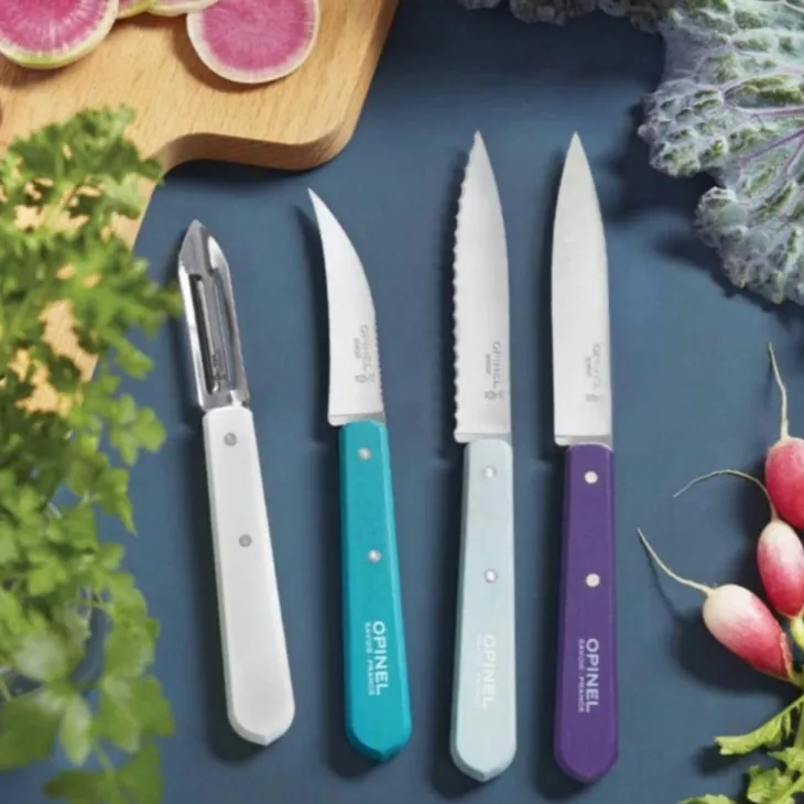 Coffret de 4 couteaux de cuisine coloris multicolore Opinel - 215 x 130 x 28 mm