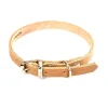Collier en cuir naturel pour chien 1,6x40 cm