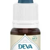 Complément alimentaire fleur de Bach églantier bio Deva - 15 ml