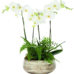 Composition florale