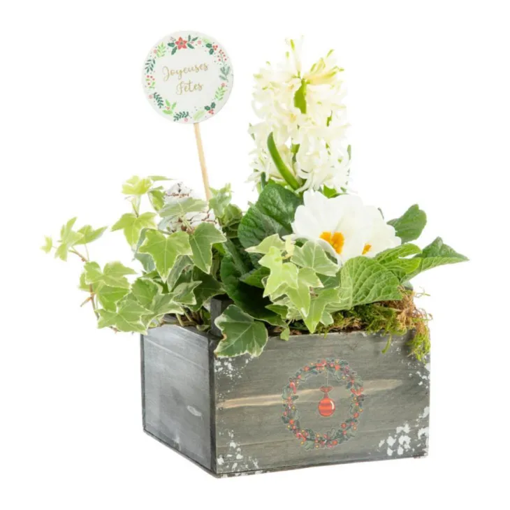 Composition florale Automne Hiver pot bois - 14 x 14 cm