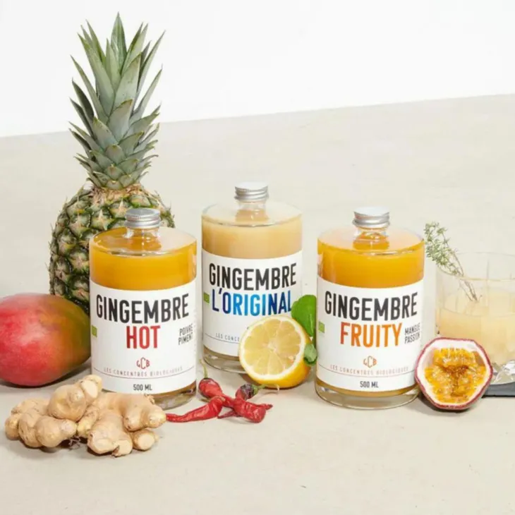 Concentrés bio gingembre fruty mangue passion Quai Sud - 50cl