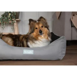 Corbeille imperméable pour chien coloris rose Scruffs Expédition – Taille XL