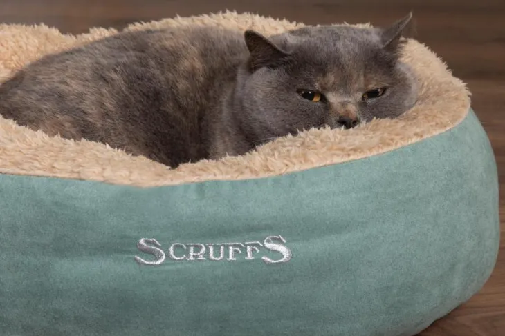 Corbeille pour chat coloris vert Scruffs Cosy – Ø 45 cm