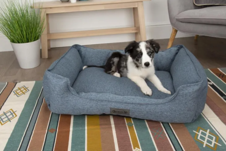 Corbeille pour chien bleu Manhattan Scruffs – Taille M