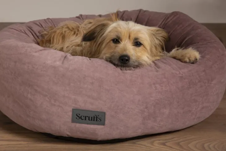 Corbeille pour chien coloris rose Scruffs Oslo Donut – Taille L