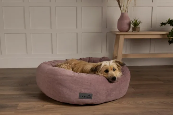 Corbeille pour chien coloris rose Scruffs Oslo Donut – Taille L