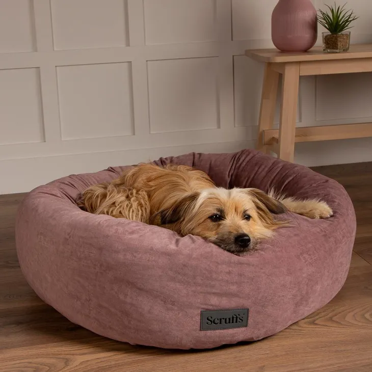Corbeille pour chien coloris rose Scruffs Oslo Donut – Taille L