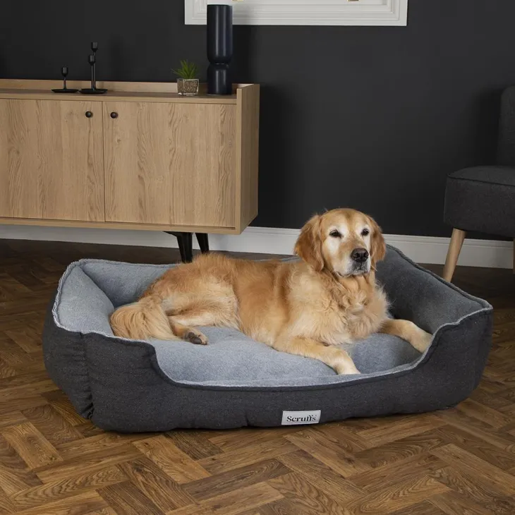Couchage orthopédique pour chien coloris gris Scruffs Harvard - Taille XXL 110 x 82 x 22 cm