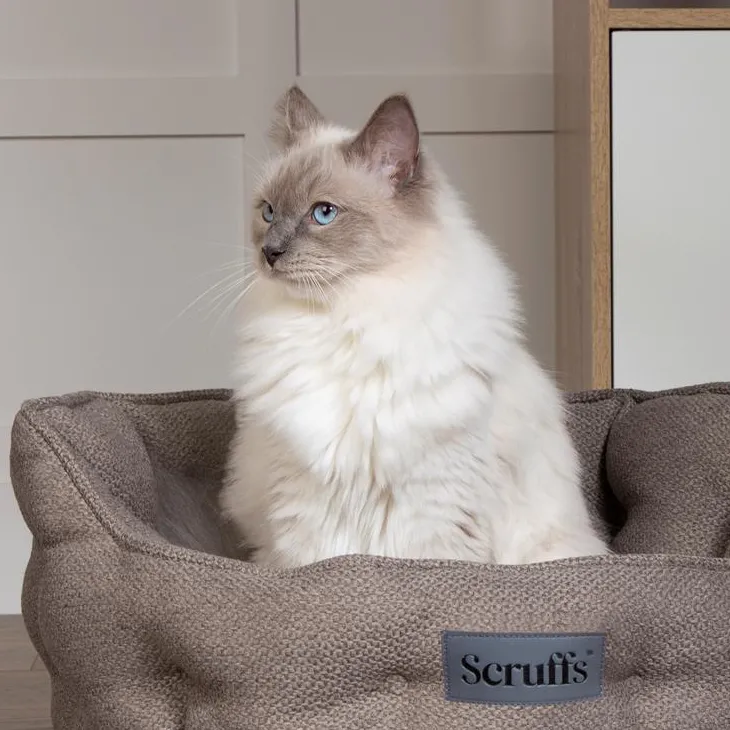 Couchage pour chat ou petit chien coloris gris lit rond Scruffs Seattle - Ø 45 cm