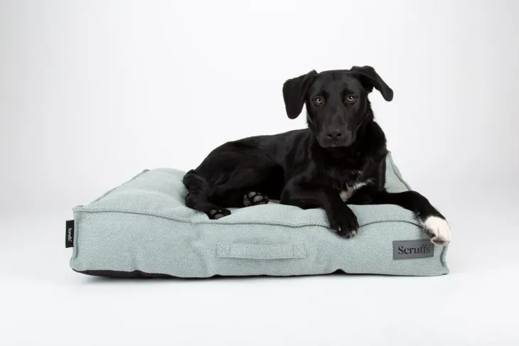 Couchage pour chien coloris vert coussin Scruffs Seattle - Taille L 100 x 70 x 14 cm