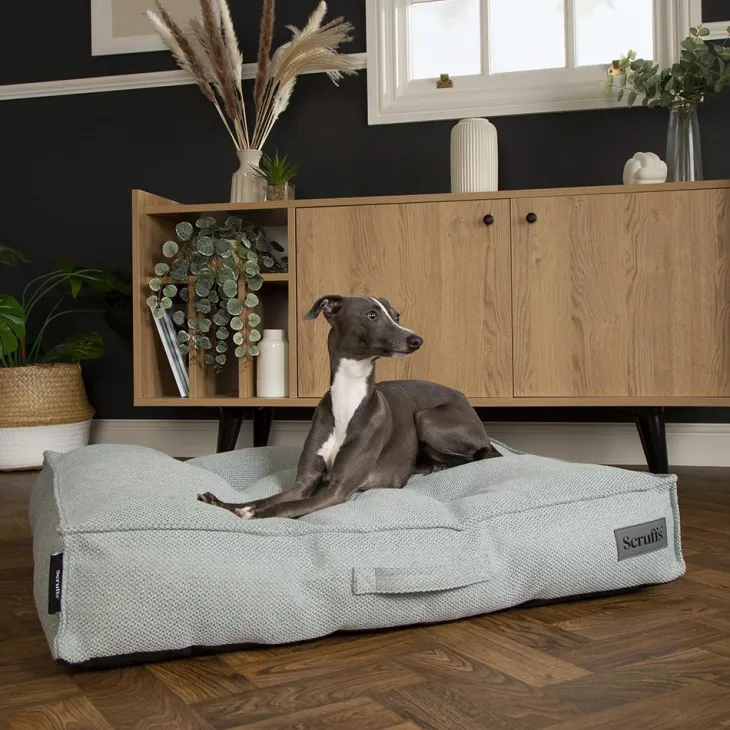Couchage pour chien coloris vert coussin Scruffs Seattle - Taille L 100 x 70 x 14 cm