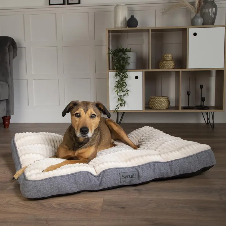Couchage pour chien coloris gris coussin Scruffs Ellen - Taille M 82 x 58 cm