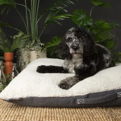 Couchage pour chien coloris gris coussin Scruffs Eco Eden - Taille M 80 x 60 cm