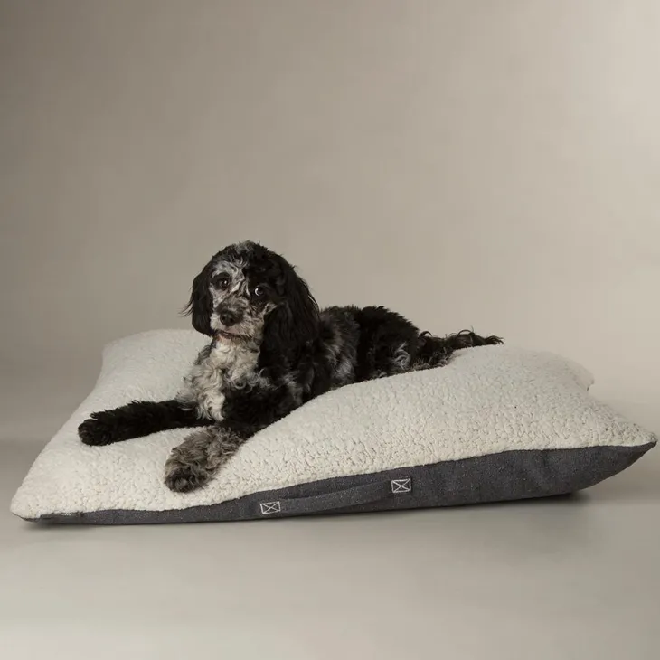 Couchage pour chien coloris gris coussin Scruffs Eco Eden - Taille M 80 x 60 cm